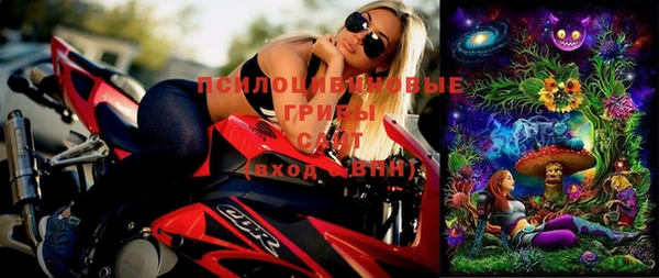 Альфа ПВП Богородицк