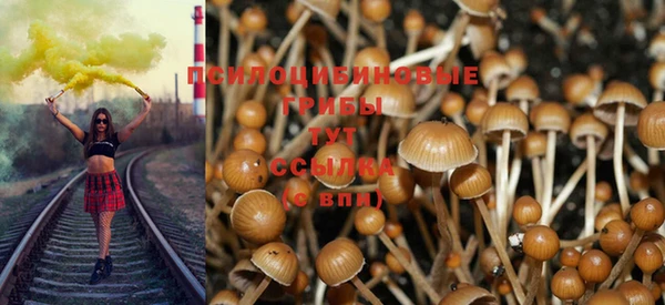 Альфа ПВП Богородицк