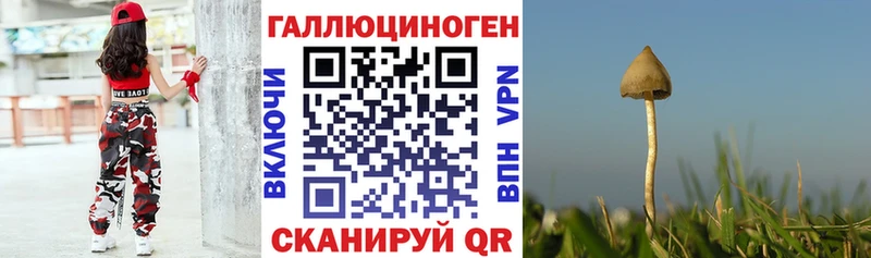 продажа наркотиков  Славянск-на-Кубани  Галлюциногенные грибы Psilocybine cubensis 